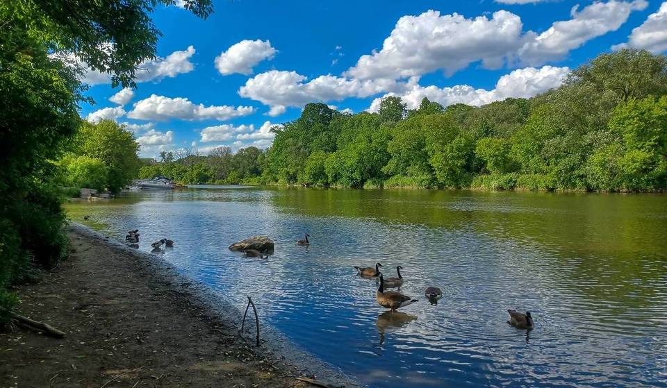 This scenic river paddle might be Toronto’s most relaxing spring activity