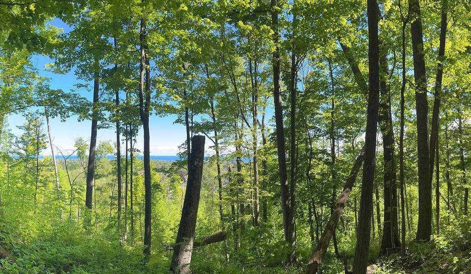 Le sentier Bruce près de Milton offre une vue sur les Rocheuses, et il n&rsquo;est qu&rsquo;à 45 minutes de Toronto