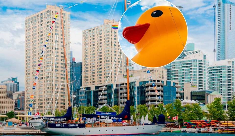 Après 16 ans en tant qu’incontournable de l’été, un autre grand festival de Toronto a été soudainement annulé pour 2026