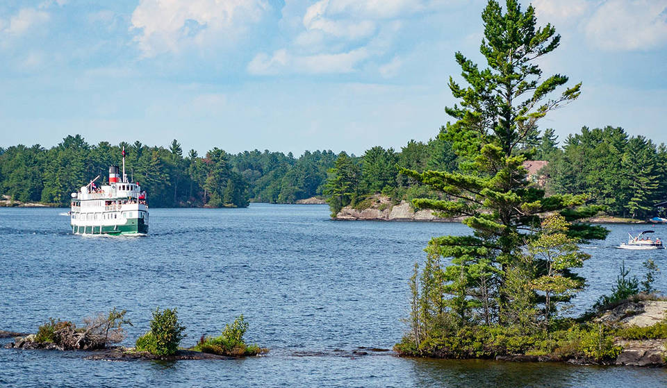 A new low-cost bus service connects Toronto directly to Muskoka and cottage country this summer with fares as low as $22