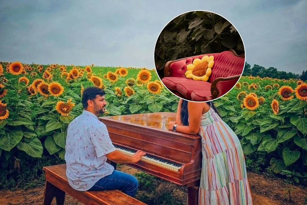 Just 45 minutes from Toronto, this farm has 45 acres of sunflowers, a piano in the field—and it’s only open for 3 weeks each summer
