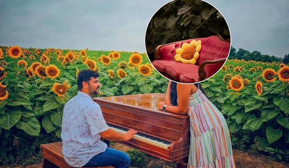 Just 45 minutes from Toronto, this farm has 45 acres of sunflowers, a piano in the field—and it’s only open for 3 weeks each summer