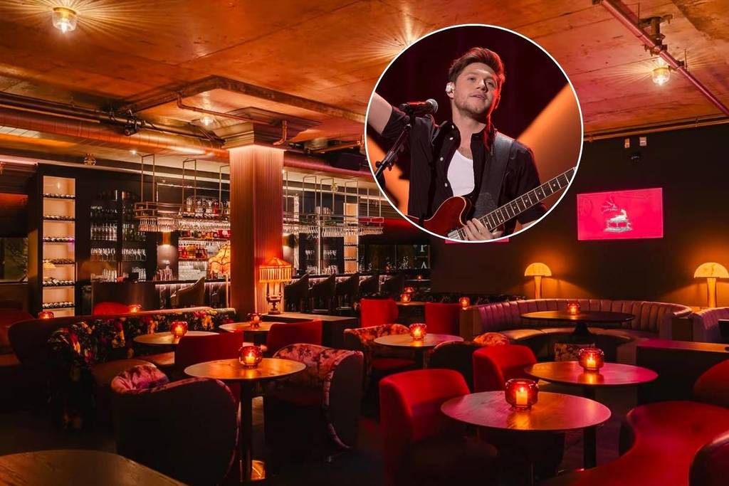 Niall Horan just treated fans to a rare acoustic performance at an intimate dinner party in Toronto
