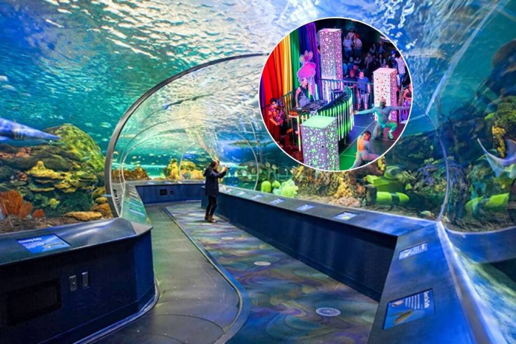 Toronto organise ce week-end une immense soirée Pride après la fermeture dans un aquarium, avec une piste de danse en pleine mer