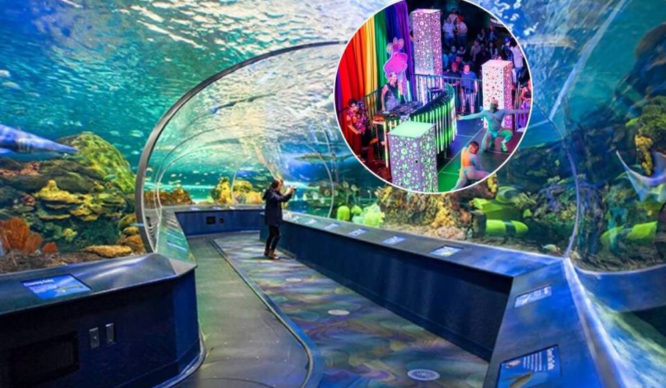 Toronto is hosting a massive after-hours Pride party at an aquarium this weekend with a deep-sea dance floor