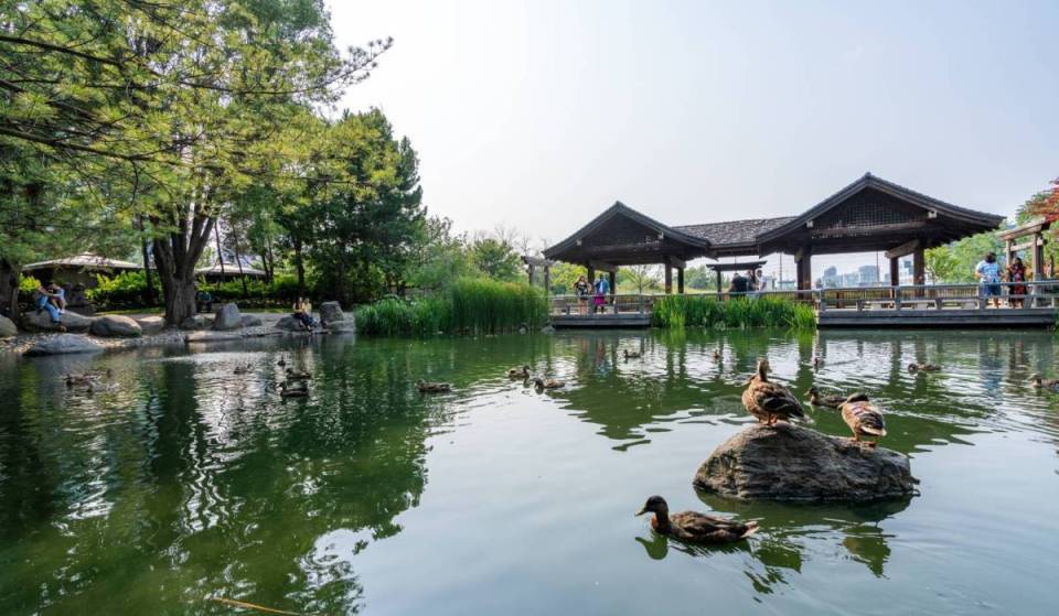 Mississauga is home to a Japanese-inspired garden where a friendship pavilion tells a unique sister-city story