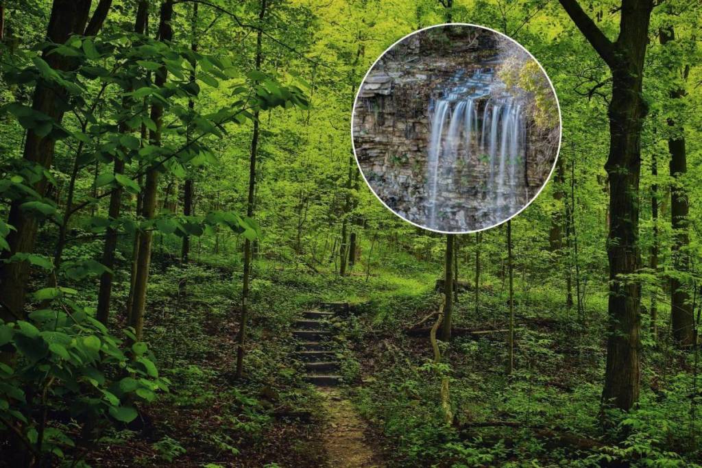 This stunning Ontario hiking trail offers towering limestone cliffs, forest paths, and peaceful escapes—just an hour from Toronto