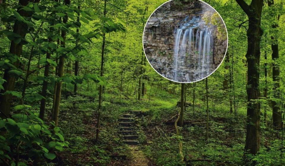 This stunning Ontario hiking trail offers towering limestone cliffs, forest paths, and peaceful escapes—just an hour from Toronto