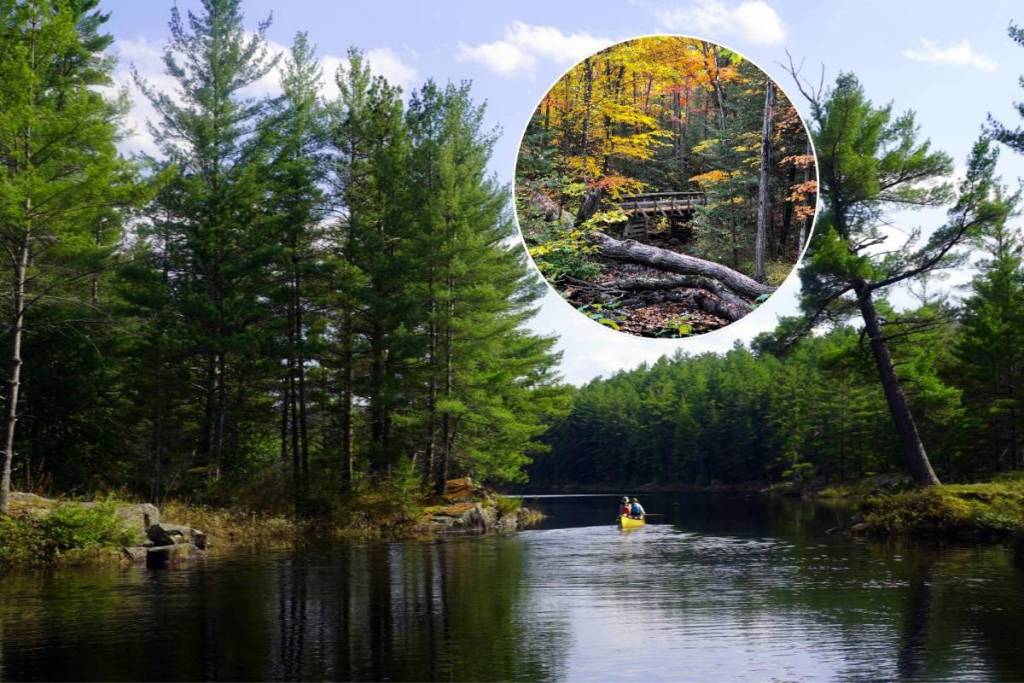Just 2.5 hours from Toronto, this motorboat-free lake is Ontario’s ultimate peaceful escape