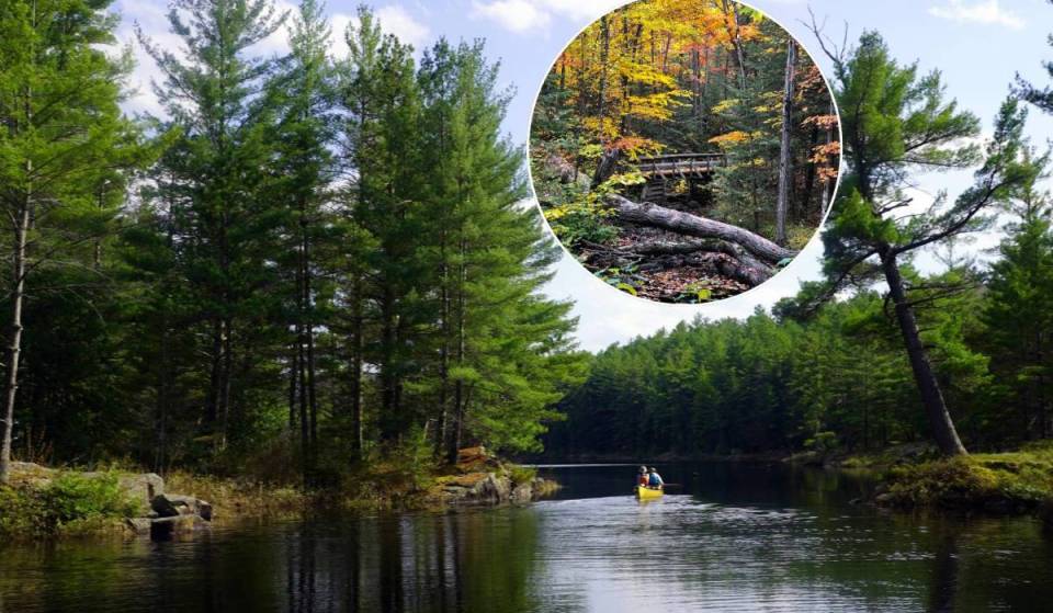 Just 2.5 hours from Toronto, this motorboat-free lake is Ontario’s ultimate peaceful escape