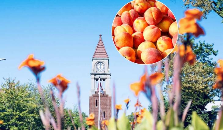 Just 1.5 hours from Toronto, this charming small town is hosting a massive free peach festival this weekend