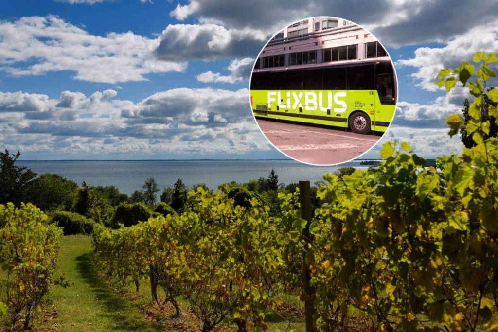 You can now take a bus from Toronto to Prince Edward County starting at about $37