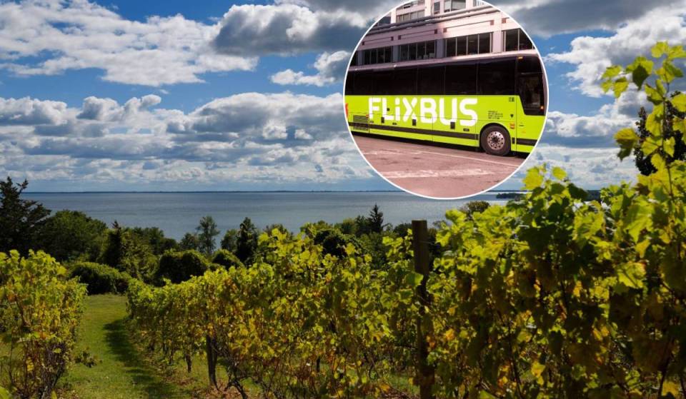 Tu peux désormais prendre un bus de Toronto vers le comté de Prince Edward à partir d’environ 37 $