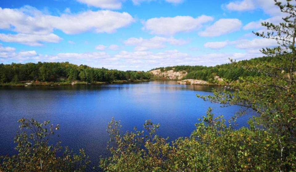 This 1,000-hectare Ontario wilderness about 4.5 hours from Toronto has quiet trails and a Blue Flag beach