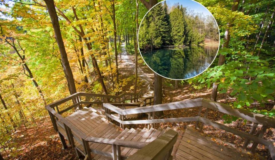 This hidden canyon just over an hour from Toronto has 30-metre cliffs and a gorge you can hike through