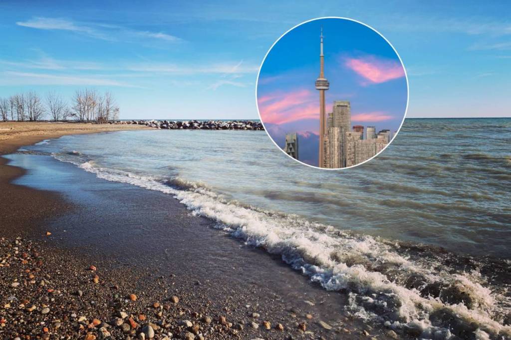 Toronto émet un avis de baignade pour deux plages populaires après la détection de niveaux d’E. coli dangereux