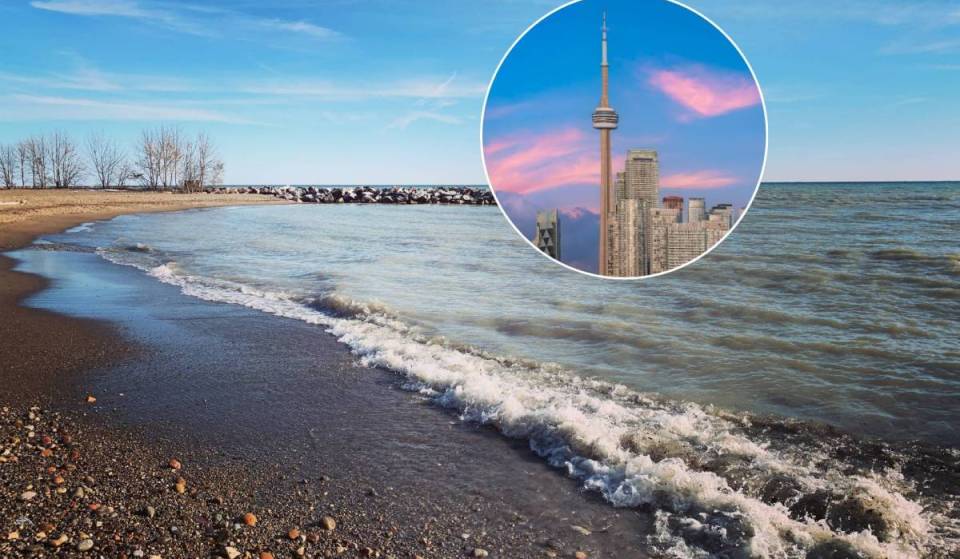 Toronto issues swimming advisory for 2 popular beaches after unsafe E. coli levels detected