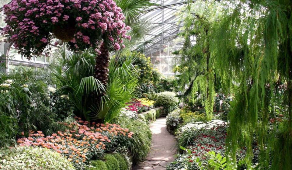 Ce jardin historique gratuit de Toronto possède une serre tropicale, 300 arbres et un passé royal