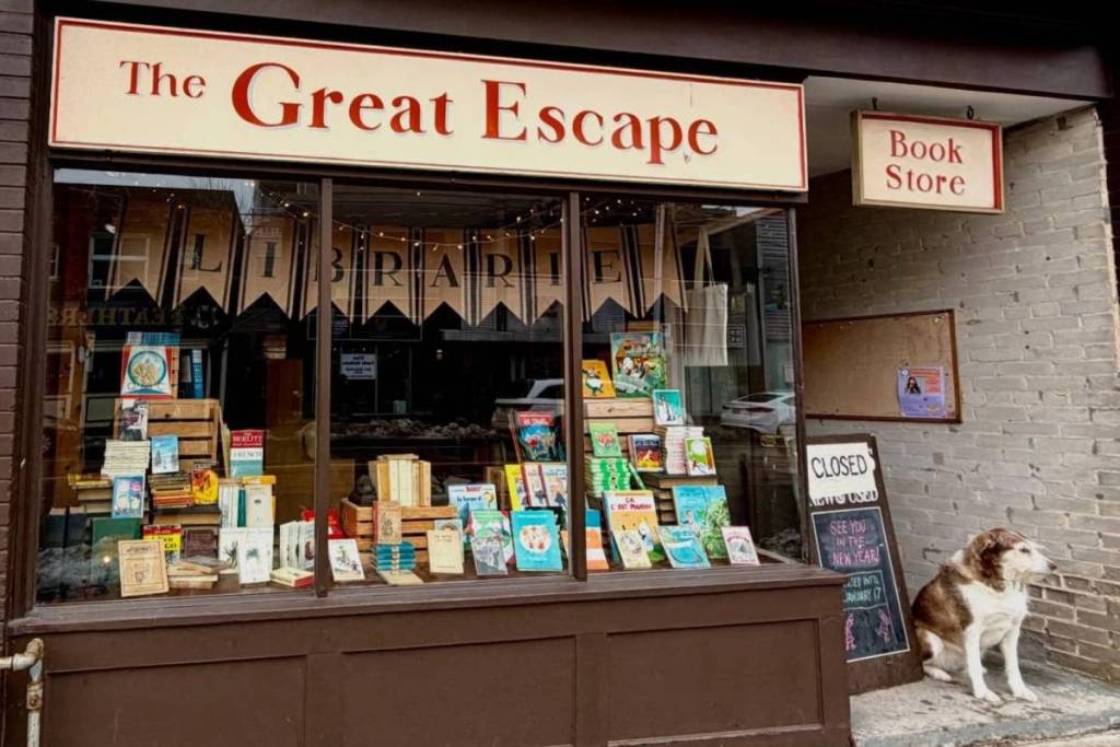 This beloved Toronto bookstore has a four-legged greeter that’s winning over everyone who visits