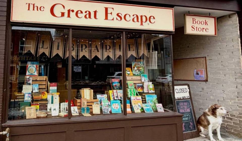 This beloved Toronto bookstore has a four-legged greeter that’s winning over everyone who visits