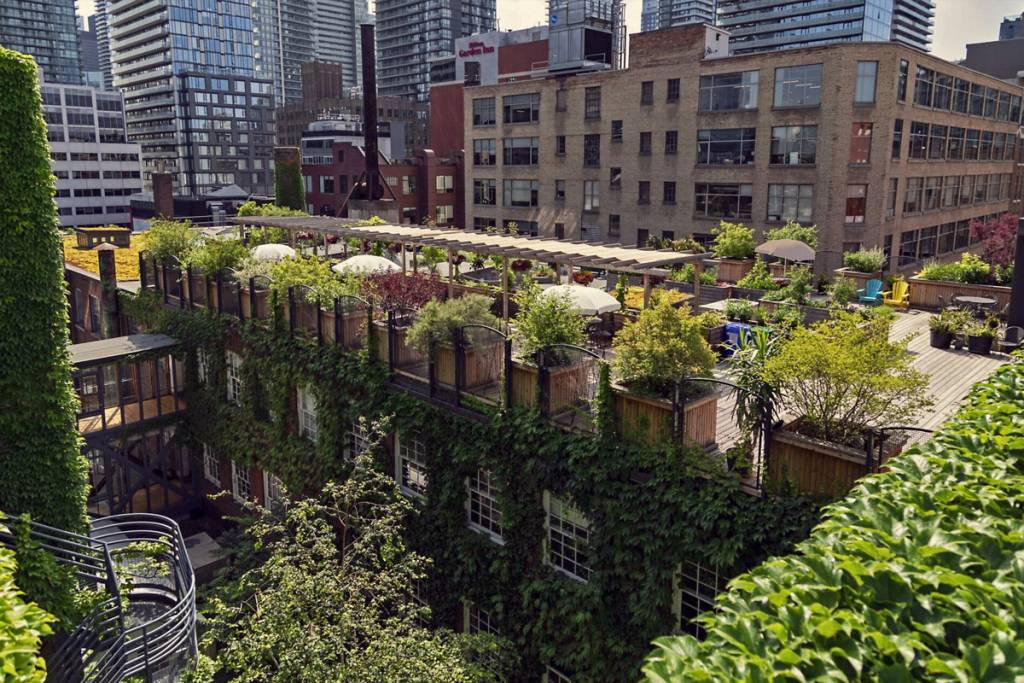 Hidden inside a 100-year-old Toronto factory, you’ll find a 5-storey creative hub with 140 artists, art galleries, and a secret rooftop garden