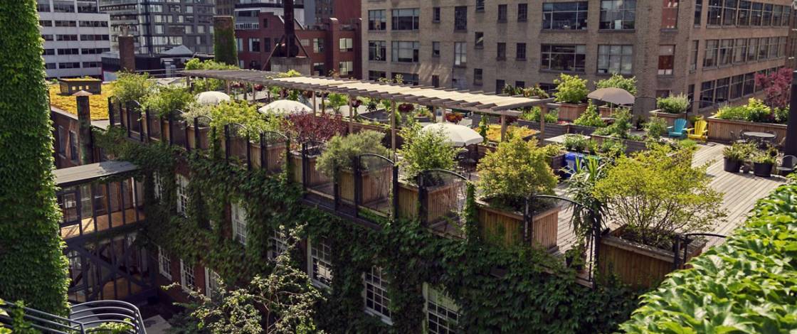 Hidden inside a 100-year-old Toronto factory, you’ll find a 5-storey creative hub with 140 artists, art galleries, and a secret rooftop garden