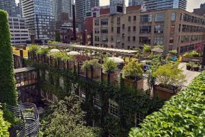 Hidden inside a 100-year-old Toronto factory, you’ll find a 5-storey creative hub with 140 artists, art galleries, and a secret rooftop garden