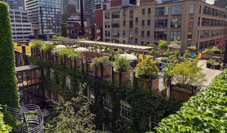 Caché à l’intérieur d’une usine torontoise centenaire, tu trouveras un pôle créatif de cinq étages réunissant 140 artistes, des galeries d’art et un jardin secret sur le toit