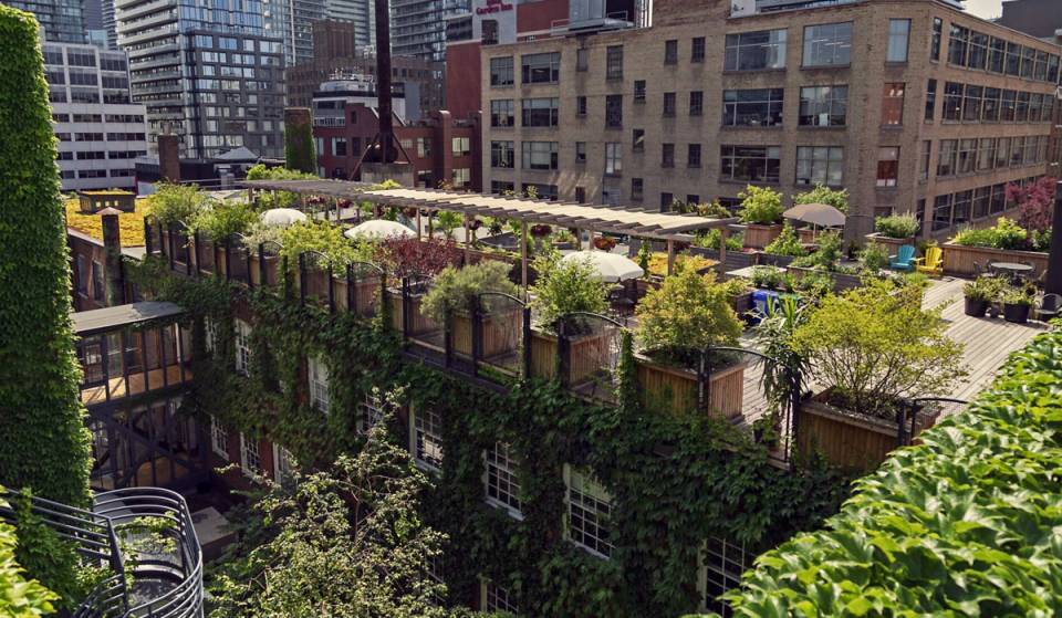 Caché à l&rsquo;intérieur d&rsquo;une usine torontoise centenaire, tu trouveras un pôle créatif de cinq étages réunissant 140 artistes, des galeries d&rsquo;art et un jardin secret sur le toit