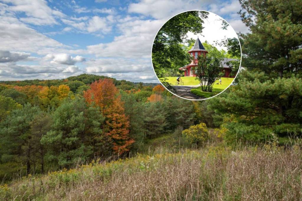 Cette vallée cachée près de Toronto abrite une forêt carolinienne rare, trois cascades, des sentiers panoramiques et certaines des couleurs d’automne les plus spectaculaires de l’Ontario