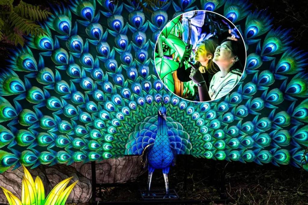 Le zoo de Toronto ouvre un parcours lumineux après la fermeture, avec d’immenses lanternes en forme d’animaux, des tunnels lumineux et des spots photo interactifs