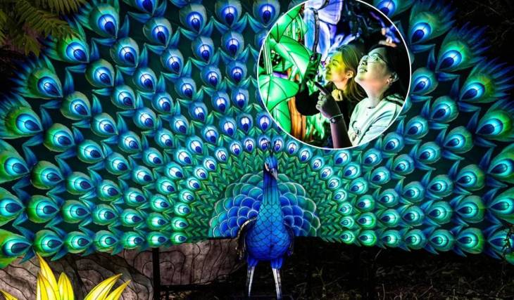 The Toronto Zoo will transform after dark into a glowing wildlife wonderland this fall