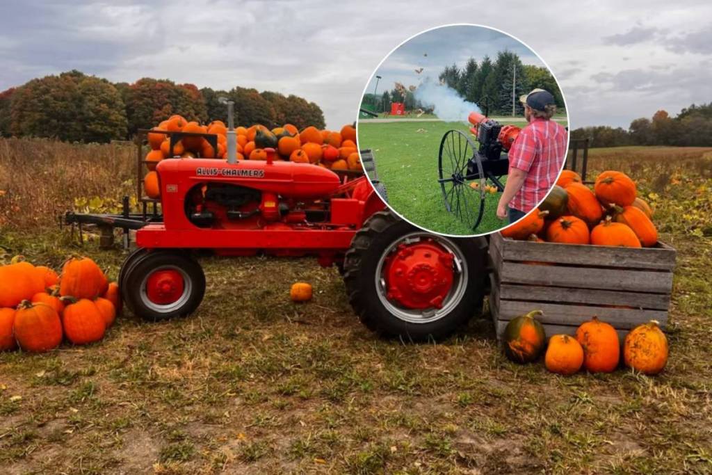 One of the most unique fall farms 1 hour from Toronto has pig races, a pumpkin cannon, and 10 acres of family fun