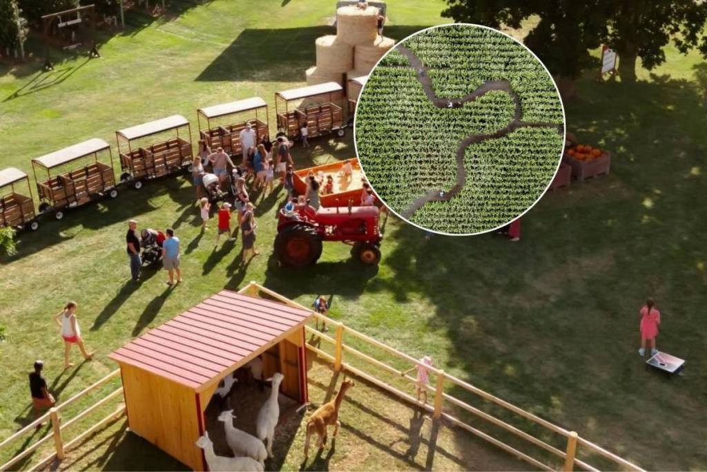 Just 1.5 hours from Toronto, you can get lost in this epic corn maze surrounded by 62,000 apple trees