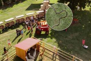 Just 1.5 hours from Toronto, you can get lost in this epic corn maze surrounded by 62,000 apple trees