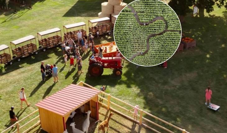 Just 1.5 hours from Toronto, you can get lost in this epic corn maze surrounded by 62,000 apple trees