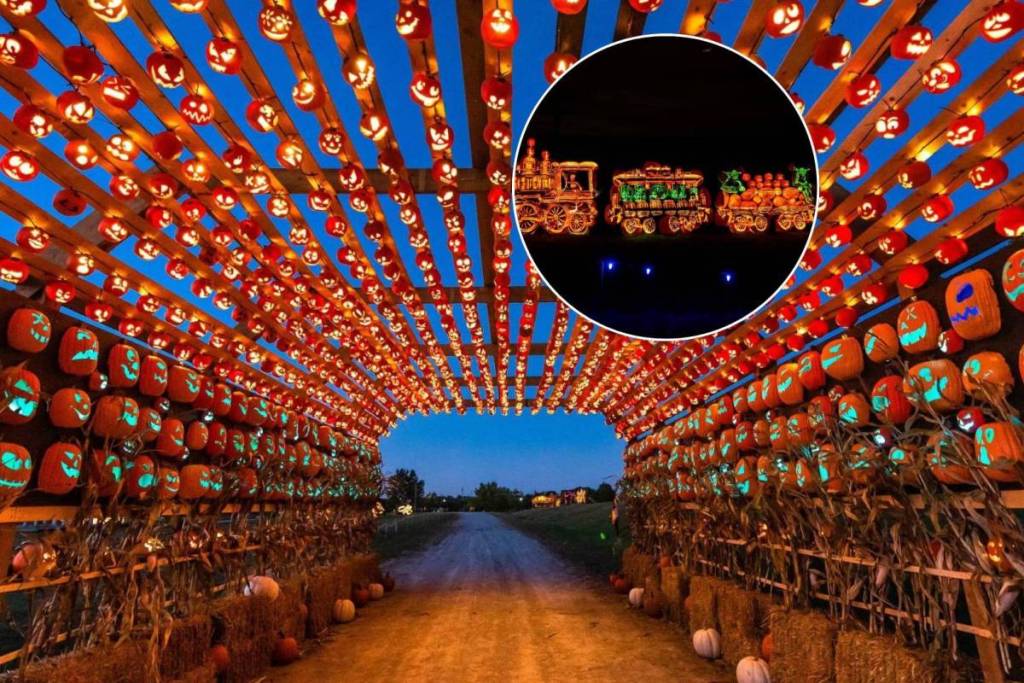 Opening later this month, a massive Halloween trail with 10,000 glowing pumpkins returns 1 hour from Toronto