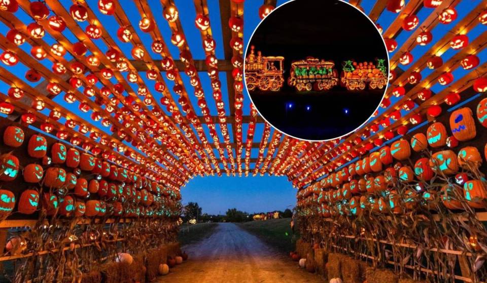Ouverture prévue plus tard ce mois-ci : un immense parcours d’Halloween avec 10 000 citrouilles lumineuses fait son retour à une heure de Toronto
