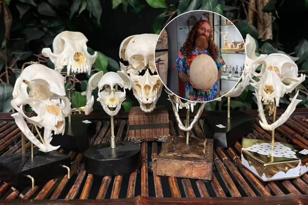 Cachée sur Queen Street West, cette boutique d’objets insolites de Toronto, dont l’entrée est gratuite, permet aux visiteurs d’acheter de vrais crânes humains, des météorites anciennes et des os de dinosaures préhistoriques