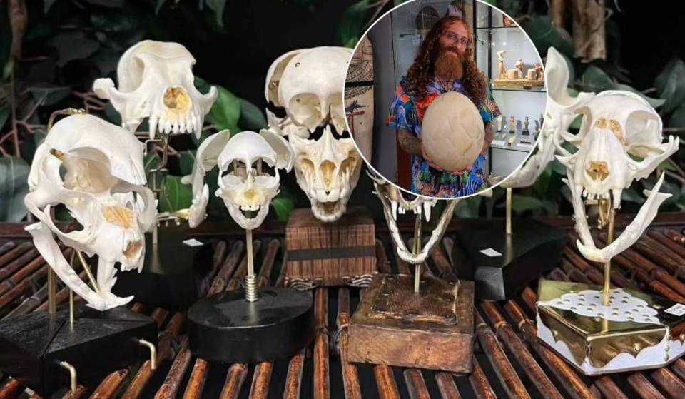 Hidden on Queen Street West, Toronto’s free-to-enter oddity shop lets visitors buy real human skulls, ancient meteorites, and prehistoric dinosaur bones