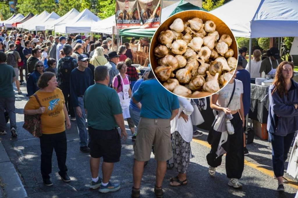 Toronto’s free garlic festival returns this September with garlic-infused ice cream, local vendors, and a vampire costume contest