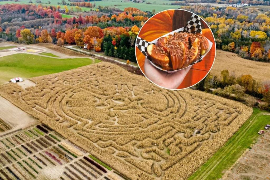 Just 1 hour from Toronto, this farm is celebrating fall with pick-your-own pumpkins, wagon rides, and a massive corn maze