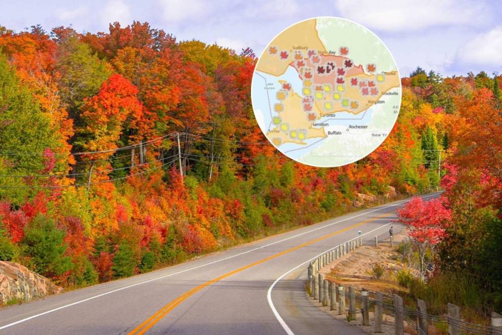 This free interactive map shows you where to find the best fall colours across Ontario in real time
