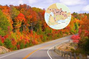 This free interactive map shows you where to find the best fall colours across Ontario in real time