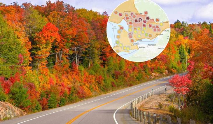 Cette carte interactive gratuite te montre en temps réel où trouver les plus belles couleurs d’automne à travers l’Ontario
