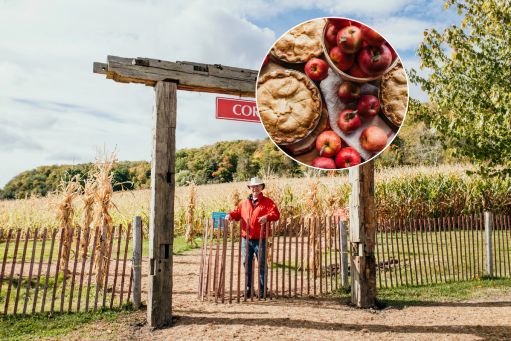 1 hour from Toronto, this family farm has been growing fruit for 6 generations and turns into a fall wonderland