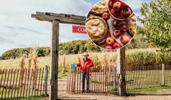 À une heure de Toronto, cette ferme familiale cultive des fruits depuis 6 générations et se transforme en un véritable paradis automnal