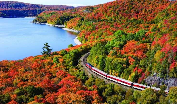 Ce voyage en train à ne pas manquer te fait découvrir certains des plus beaux paysages d’automne de l’Ontario – et les billets sont déjà en train de s’arracher