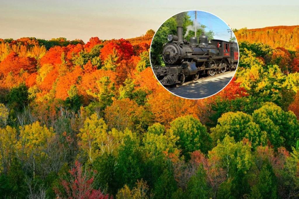 Just 1 hour from Toronto, this vintage 1920s steam train takes you through Ontario’s vibrant fall foliage for only $17