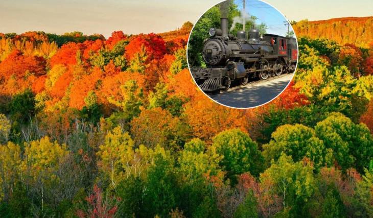 Just 1 hour from Toronto, this vintage 1920s steam train takes you through Ontario’s vibrant fall foliage for only $17